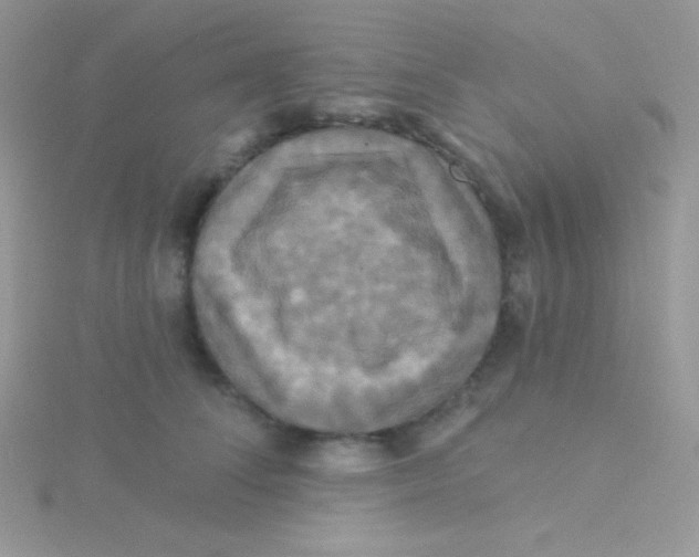 X0000115330708200911231412