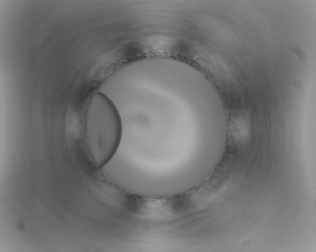 X0000115330709200911231412