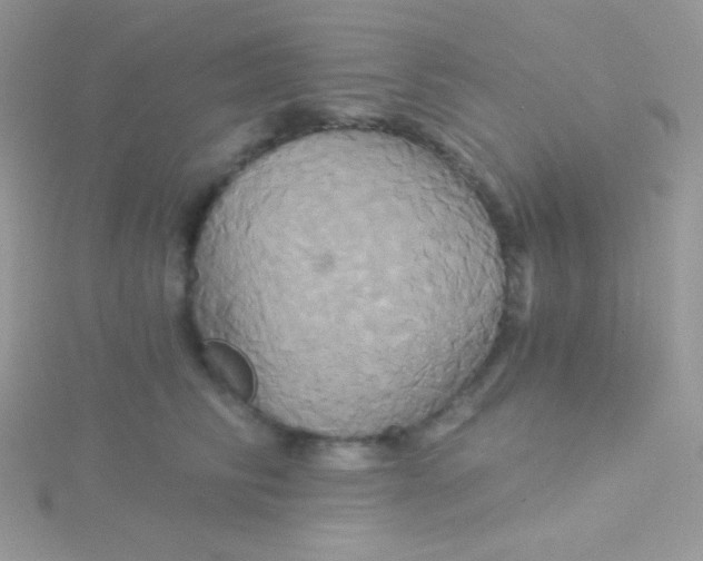 X0000115330710200911231412