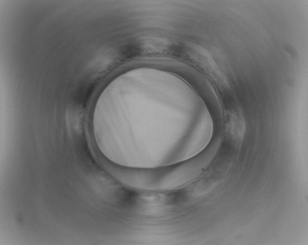 X0000115330712200911231412