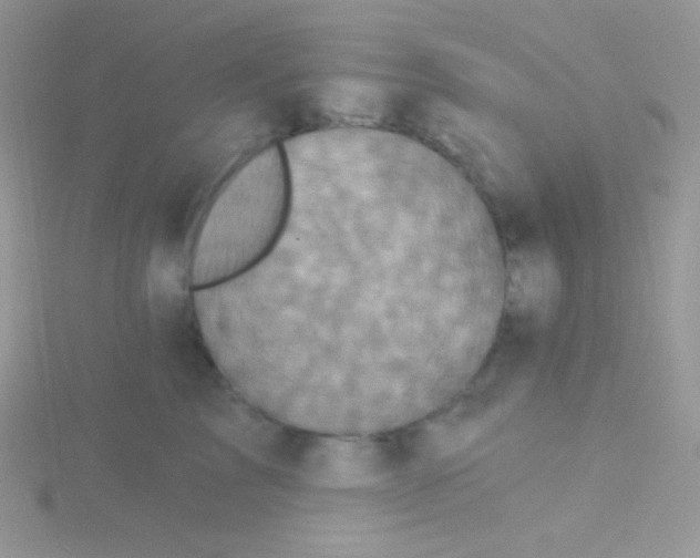 X0000115330713200911231412