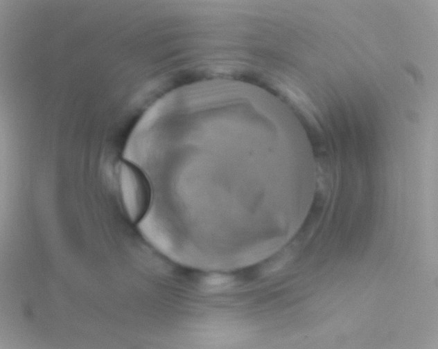 X0000115330718200911231412