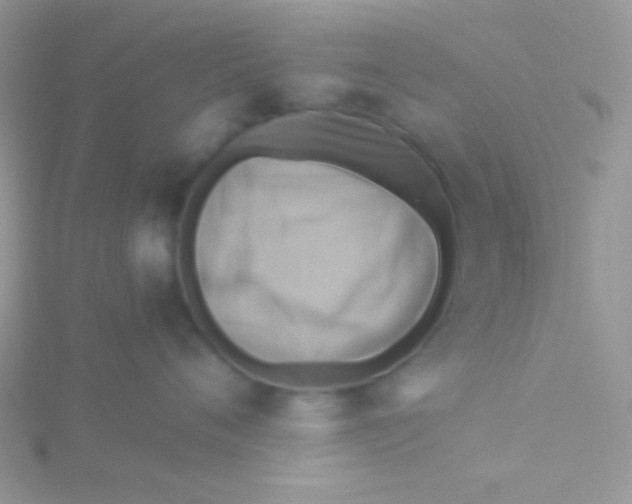 X0000115330720200911231412