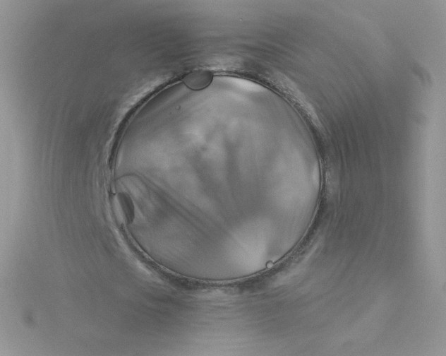 X0000115330721200911231411