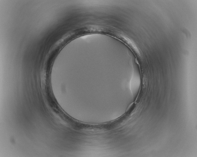 X0000115330722200911231411