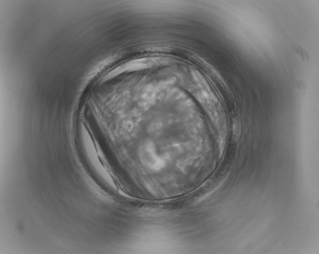 X0000115330725200911231411