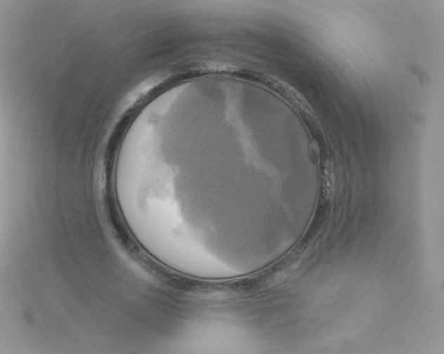 X0000115330726200911231411