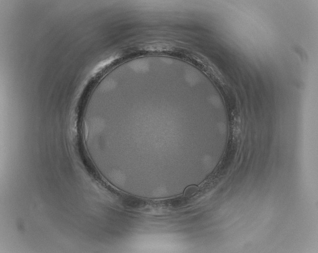 X0000115330727200911231411