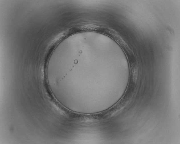 X0000115330729200911231411