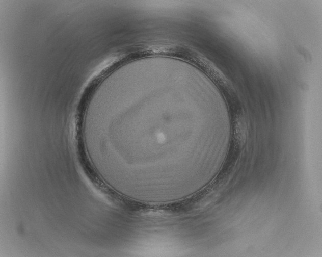 X0000115330730200911231411