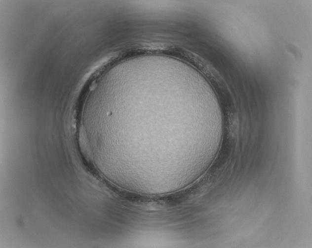 X0000115330731200911231411