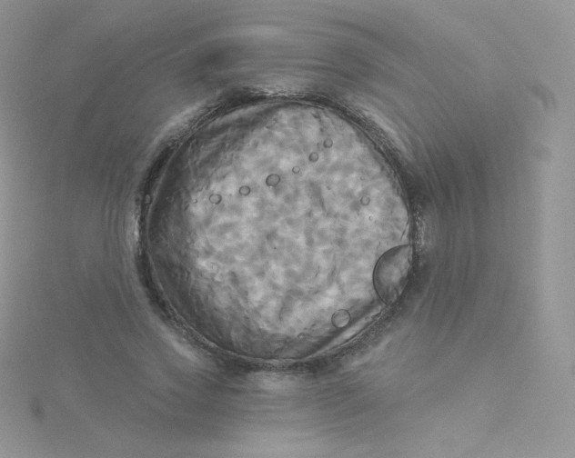 X0000115330733200911231411