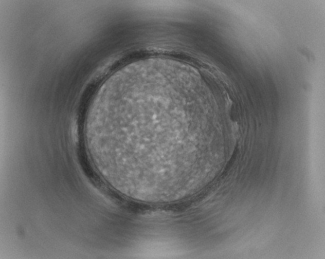 X0000115330734200911231411