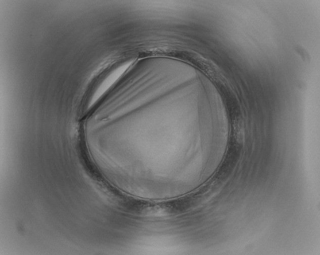 X0000115330735200911231411