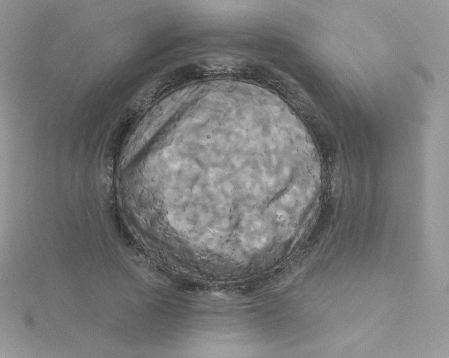 X0000115330737200911231411