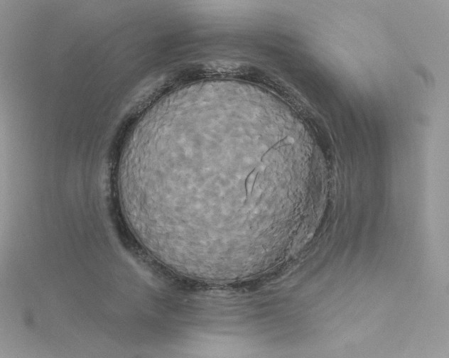 X0000115330738200911231411