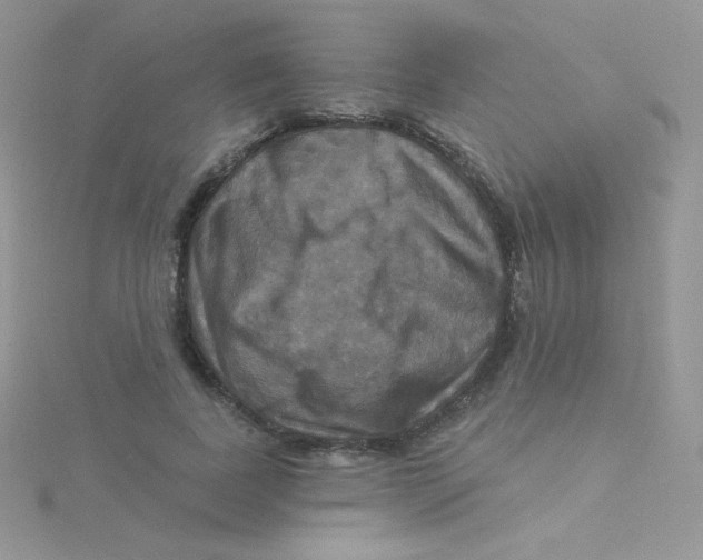 X0000115330739200911231411