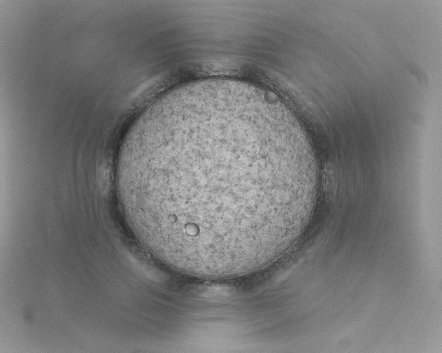 X0000115330741200911231411