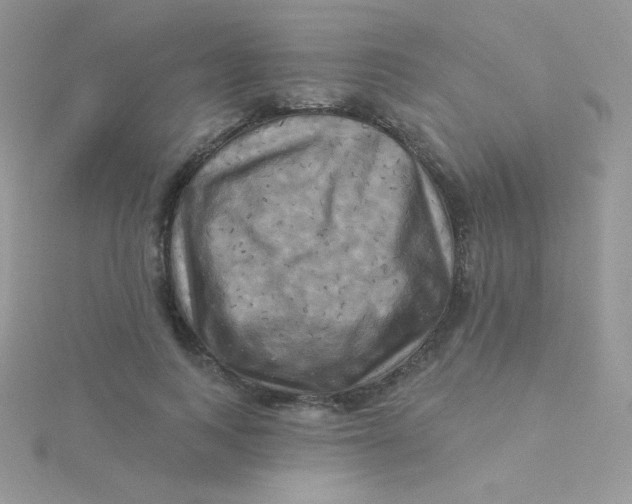 X0000115330743200911231411