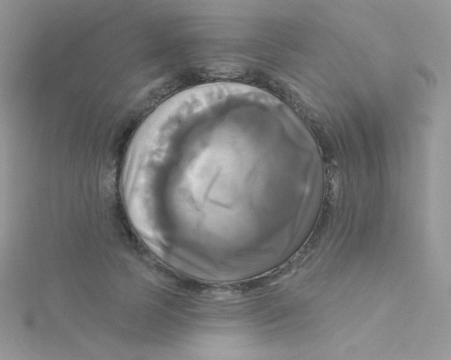 X0000115330745200911231411