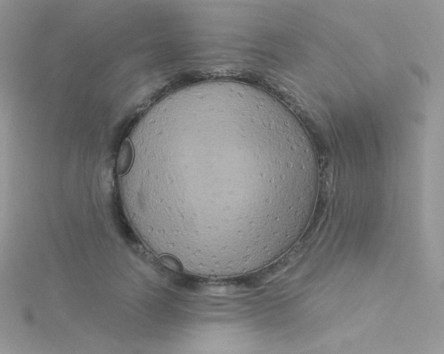 X0000115330746200911231411