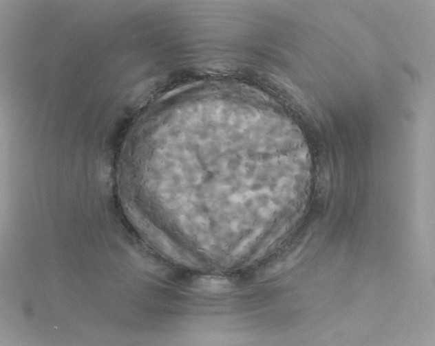 X0000115330749200911231412