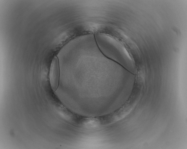 X0000115330750200911231412