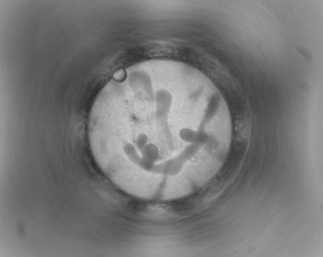 X0000115330753200911231412