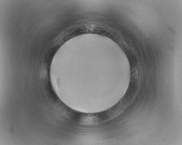 X0000115330754200911231412