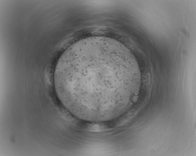 X0000115330755200911231412