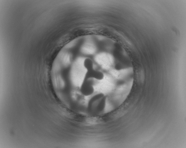 X0000115330757200911231412