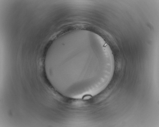 X0000115330759200911231412