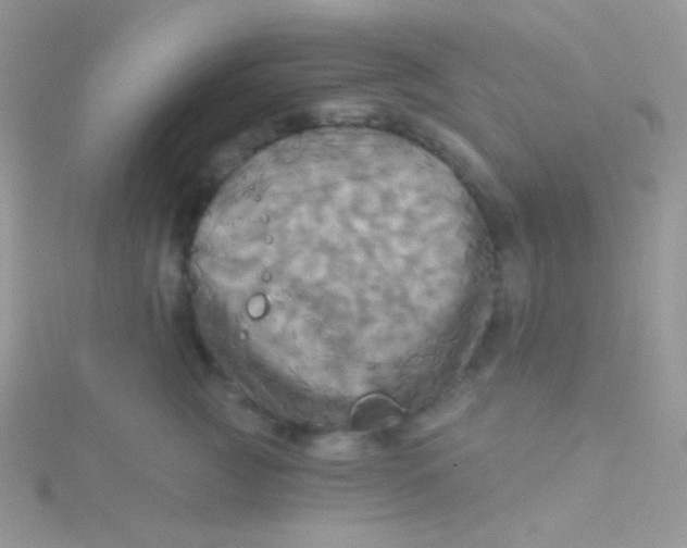 X0000115330761200911231412