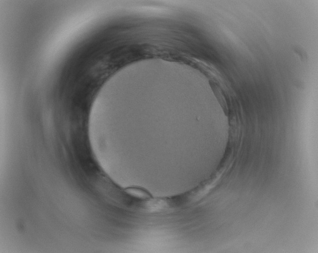 X0000115330762200911231412