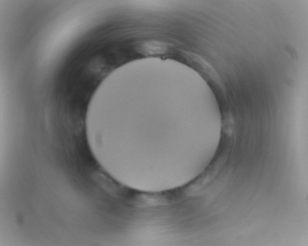 X0000115330763200911231412