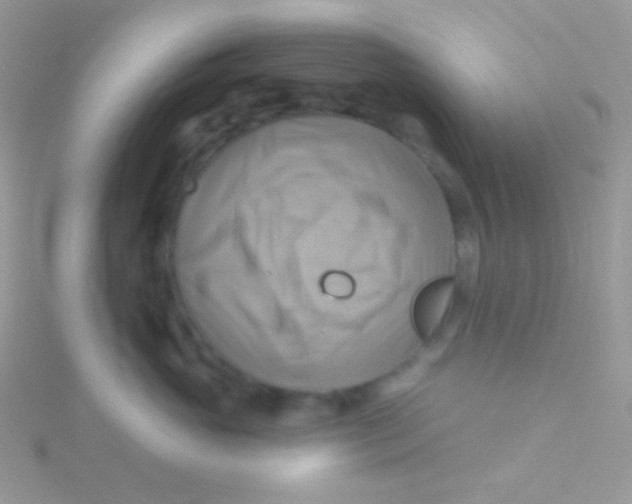 X0000115330765200911231412