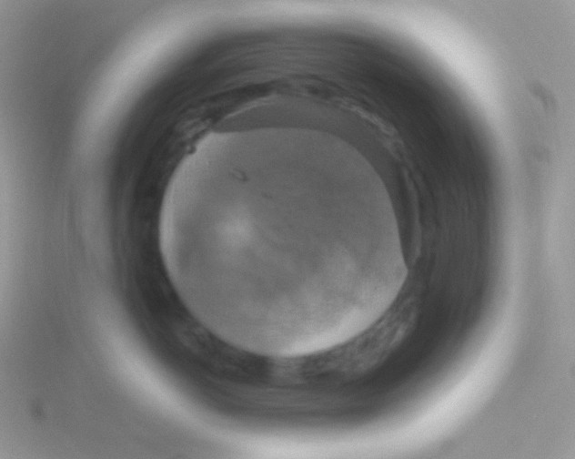 X0000115330766200911231412