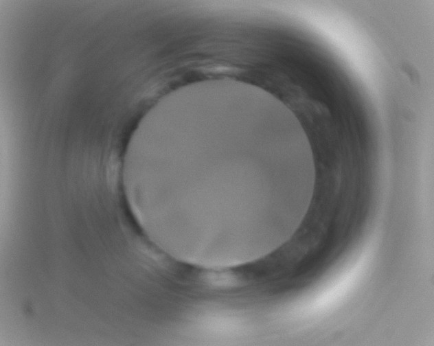 X0000115330767200911231412