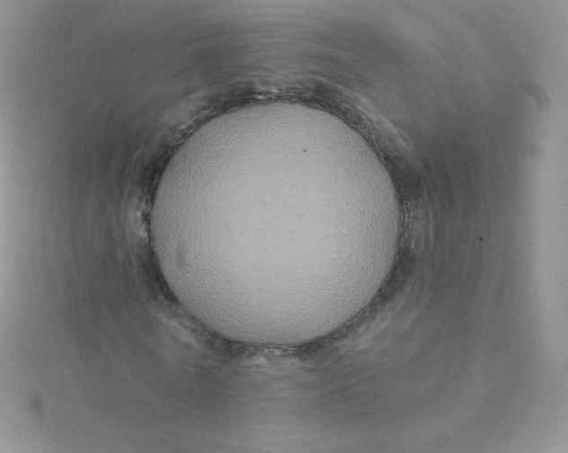 X0000115330770200911231411