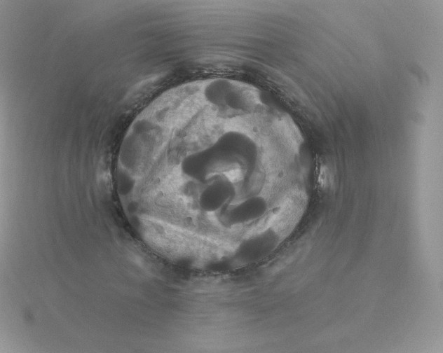 X0000115330771200911231411