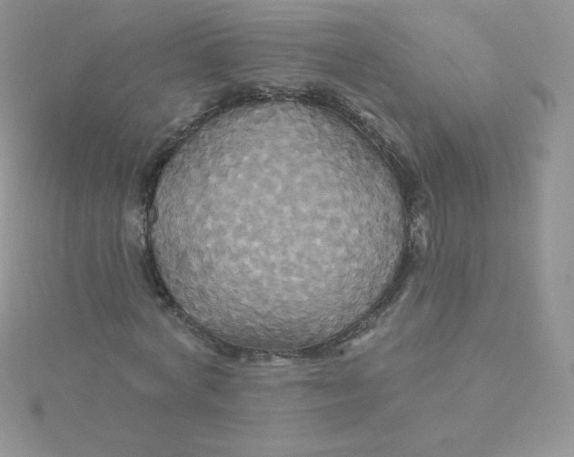 X0000115330772200911231411