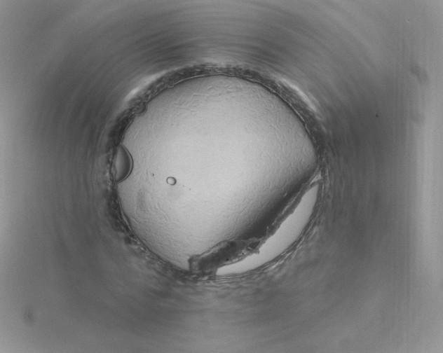 X0000115330776200911231411