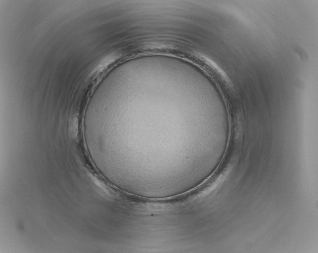 X0000115330777200911231411