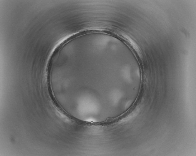 X0000115330779200911231411