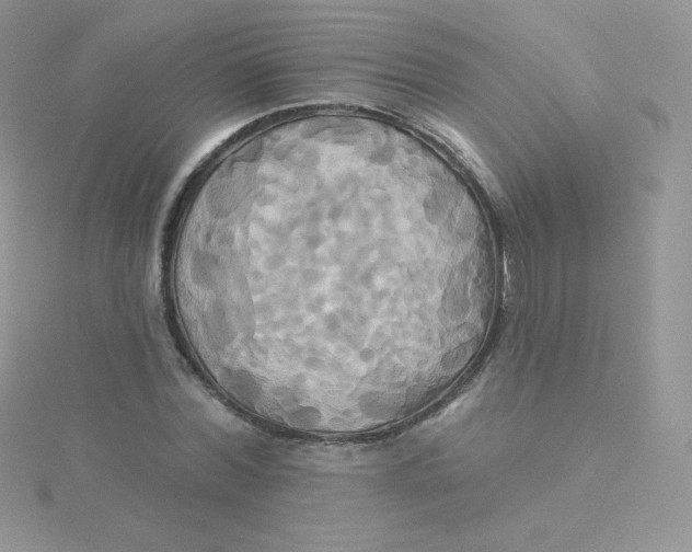 X0000115330780200911231411