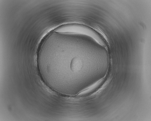 X0000115330781200911231411