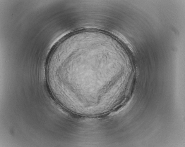 X0000115330782200911231411