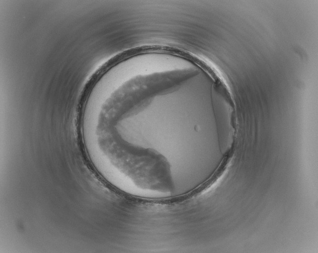 X0000115330783200911231411