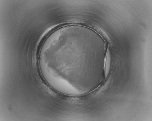 X0000115330784200911231411