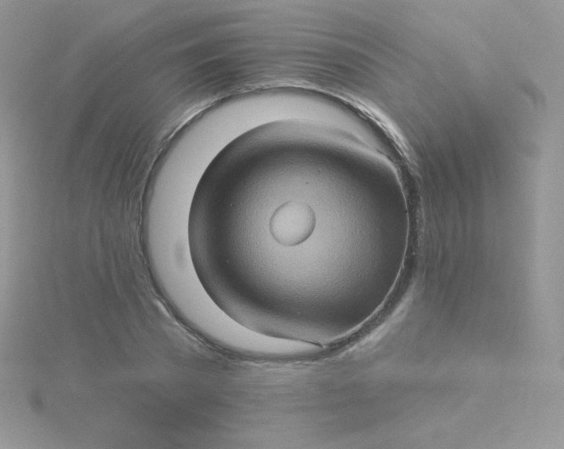 X0000115330785200911231411